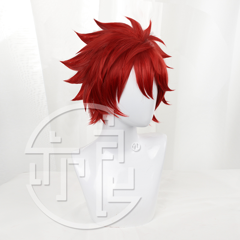 Anime SK8 de Infinity Reki Cos - Anime Cosplay With Red Hair recensie en prijs