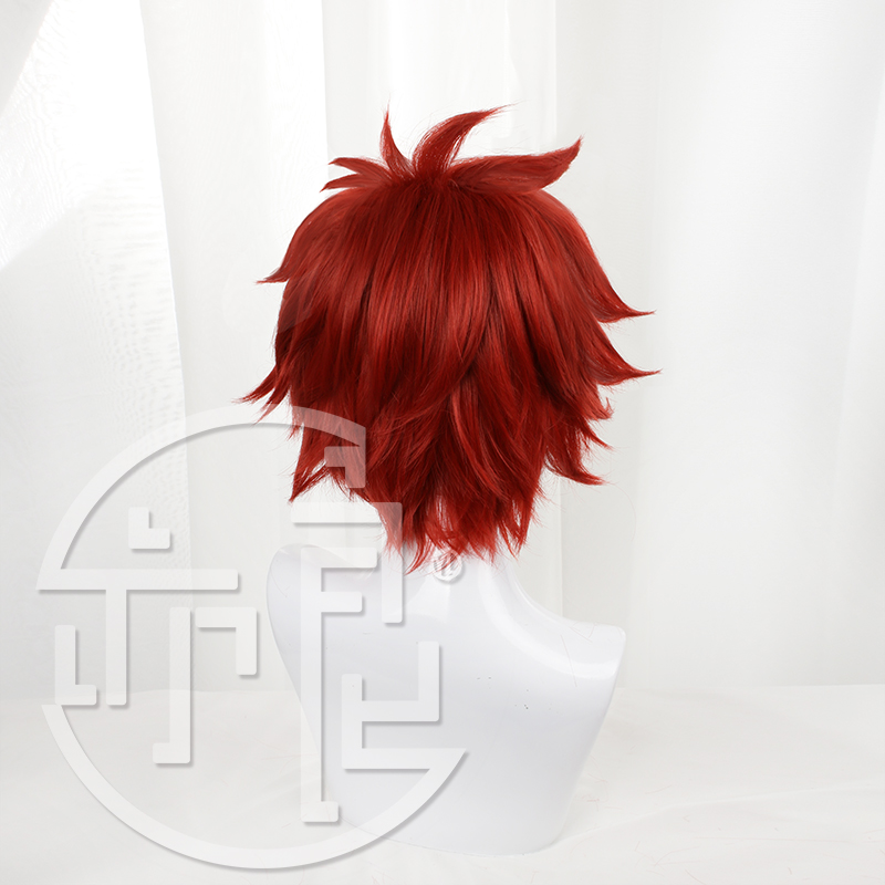 Anime SK8 de Infinity Reki Cos - Anime Cosplay With Red Hair recensie en prijs