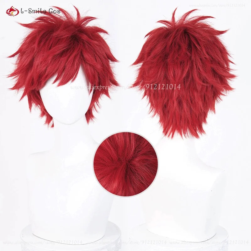 Anime Reinhard Van Astrea Cosp - Anime Cosplay With Red Hair recensie en prijs