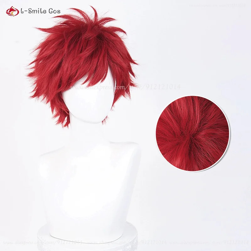 Anime Reinhard Van Astrea Cosp - Anime Cosplay With Red Hair recensie en prijs
